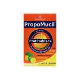 PropoMucil® PretPrehlada 5 kesica