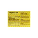 Propomint® eukaliptus 18 pastila