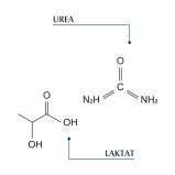 Eucerin DermoCapillaire Šampon za suvu kožu glave i suvu kosu
