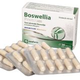 Boswellia 30 kapsula
