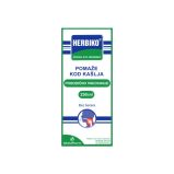 Herbiko sirup za celu porodicu 250 ml
