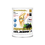 Geladrink Perpetuum prašak 500g (25 dnevnih doza)