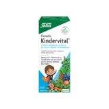 Floradix Kindervital sirup za decu 250 ml