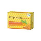 Propomint med i limun 18 pastila
