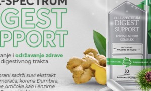 Zlatni enzimi DIGEST SUPPORT-a u borbi protiv bolesti modernog doba