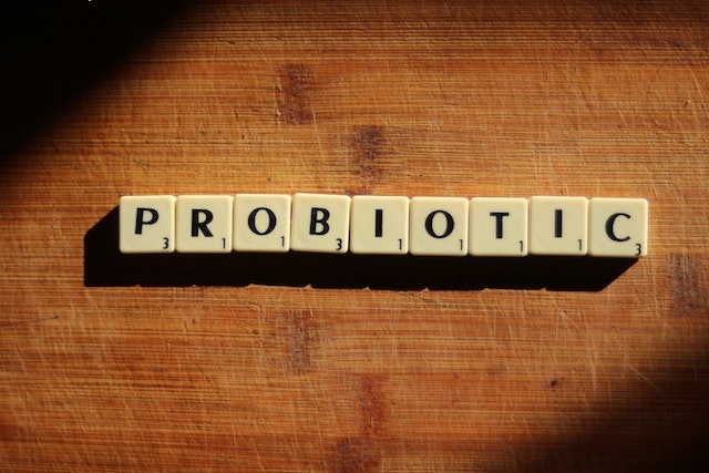 Probiotici  u fokusu…