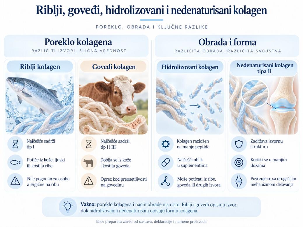 riblji vs. goveđi kolagen, hidrolizovani vs. nedenaturisani